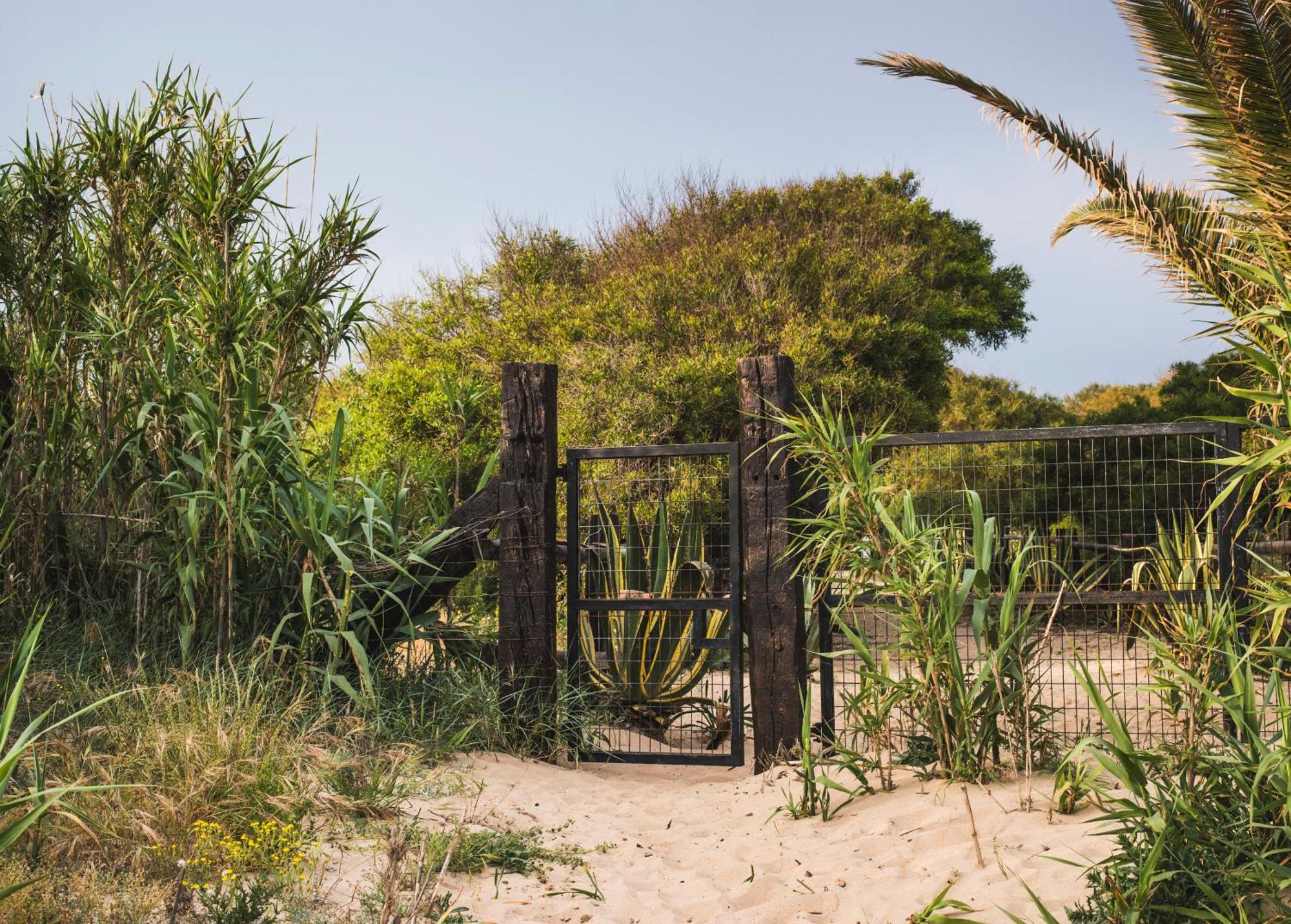 Casara Dos - 2 Dormitorios - Torre Con Acceso Privado A La Playa De Захора Екстериор снимка